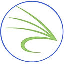 Snowfly logo