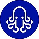 Squids logo