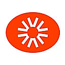 Visual Electric logo