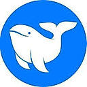 Whale Software logo
