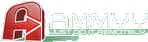 Ammyy - Remote Desktop Software