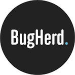 BugHerd - Bug Tracking Software