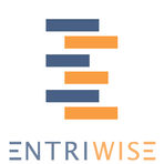 Entriwise - Online Marketplace Optimization Tools