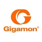 GigaSMART - Network Management Software