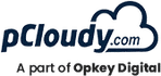 pCloudy - Automated Testing Software