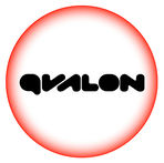 QVALON - Audit Management Software