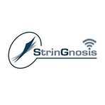 StrinGnosis - Oil and Gas Simulation and Modeling Software