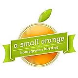 A Small Orange