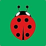 Buglet