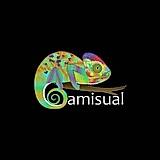 Camisual