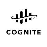 Cognite Data Fusion