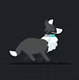 Corgi