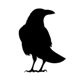 Crow