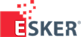 Esker Accounts Payable