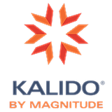 Magnitude MDM (Kalido)
