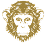 Omneky