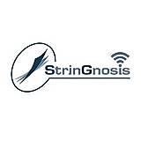 StrinGnosis