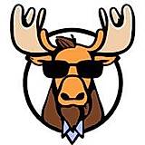Wild Moose