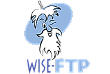 WISE-FTP