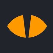 InsightCat logo