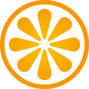 VisitBasis logo