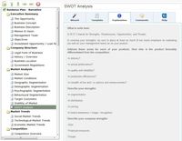 SWOT Analysis Screenshot