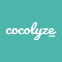 Cocolyze - SEO Software