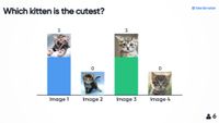 Vote for the cutest kitten