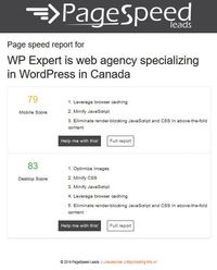 Page Speed Leads screenshot