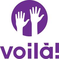 Voila app