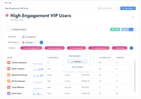 High Engagement VIP Users