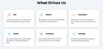 what drives us