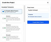 Build a Custom AI Model