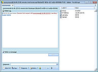 FocalScope Demo - Live Chat - agent window