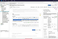 Requirements Quality