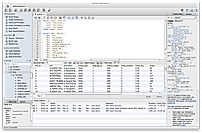 SQL Editor Screenshot