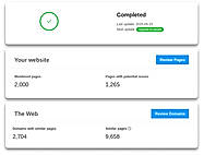 PlagiaShield Domain Results