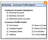 Customer profile report