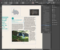 Adobe InDesign Screenshots