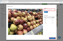 Azure Custom Vision Service Screenshots