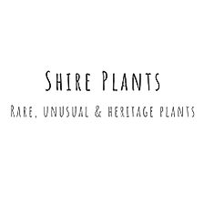 Shire Plants