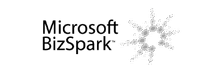 Microsoft Bizspark