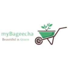 Mybageecha