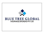 Blue Tree Global