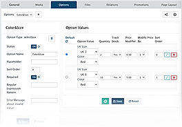Options screenshot