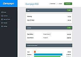 Campayn ROI