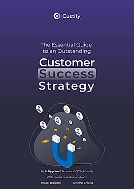 Customer Success Strategy