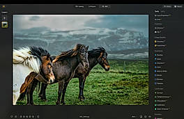 Presets