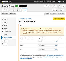 Platforms and custom domains