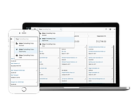 Snapforce CRM screenshot